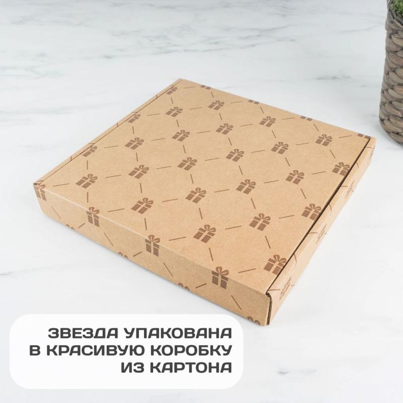 Фирменная Голливудская Звезда - камень